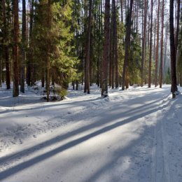 Фотография от Елена ЗАЙЦЕВА