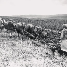 Фотография от Екатерина Ермакова