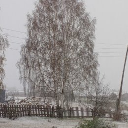 Фотография "И снова зима!!! 25.04.2024г."