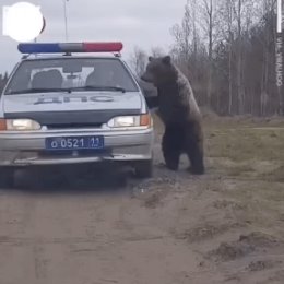 Фотография от татьяна Путинцева