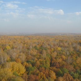 Фотография "Есть в осени первоначальной
Короткая, но дивная пора —
Весь день стоит как бы хрустальный,
И лучезарны вечера...
Где бодрый серп гулял и падал колос,
Теперь уж пусто все — простор везде, —
Лишь паутины тонкий волос
Блестит на праздной борозде..."