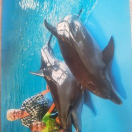 Фотография "Я с внуком в дельфинарии "