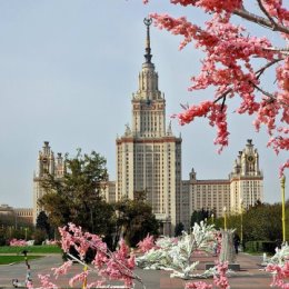 Фотография "Москва. Воробьёвы горы"