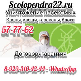 Фотография от Сколопендра Уничтожение Насекомых