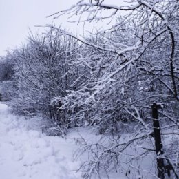 Фотография от Оксана Солодовник(Ковтуненко)