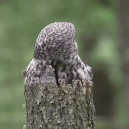 Фотография от Марина Волкова