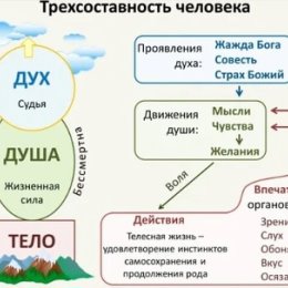 Фотография от Истина сходящая с Неба