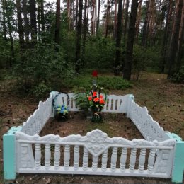 Фотография "Памятник летчикам погибшим в июне 1941 года возле деревни Клетная. "