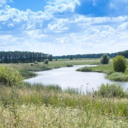 Фотография от Пруд Зеленёвский