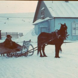 Фотография от Александр Сорокин