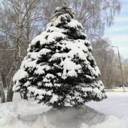 Фотография от Александр Кулямин