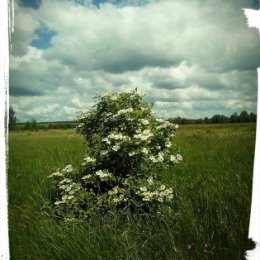 Фотография от Николай Сурьянинов