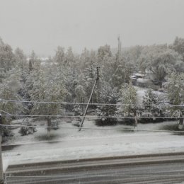 Фотография от Галина Мешалкина (Голубева)