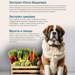 Фотография от Pet Food Delish