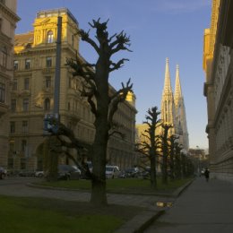 Фотография от Андрей Зверев