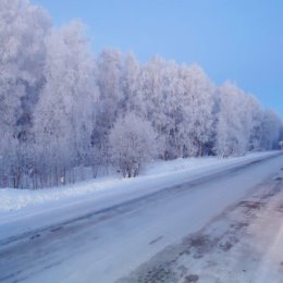 Фотография от Виктор Карманов