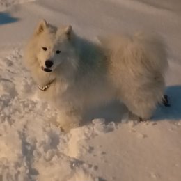 Фотография от оксана ефремова