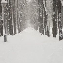 Фотография от Наталия Дарчия (Гавриленко)