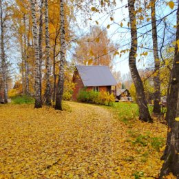 Фотография от Лариса Дорохина (Ножкина)