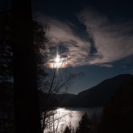 Фотография "Ночь на Телецком озере. Горный Алтай. Источник: Яндекс"