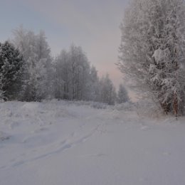 Фотография от Валерия Кухаренко-Баублите