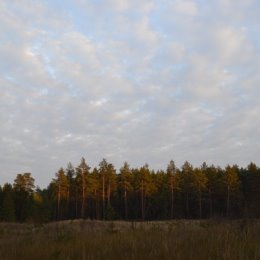 Фотография от Александр Хуртак