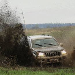 Фотография "съездили на шашлыки)))"