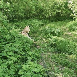 Фотография от Галина Адамович-Поддубская