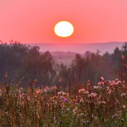 Фотография от Любовь Осипова