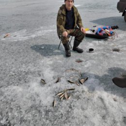 Фотография "20 апреля съездили на братское море на рыбалку. Это 200 км от Иркутска. Наловили на жарёху окуньков и красноглазок. Подышали свежим воздухом и пообщались с друзьями."