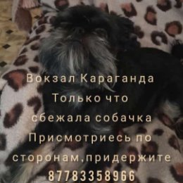 Фотография от Koto Help Priyt