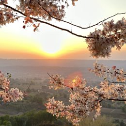 Фотография от Сергей Пильщиков