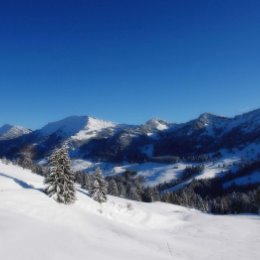 Фотография от Алёна Пономарёва