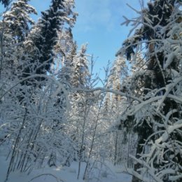 Фотография от Валентина Кошкина (Ремизова)