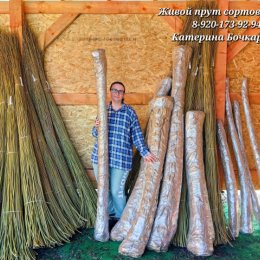 Фотография "🌿Продолжаем отправлять Вам Ваши заказы. Я живу в Твери, у нас ещё прохладно и поэтому заказы на живые прутики мы ещё принимаем. Прутики упаковываем и отправляем по всей России Транспортной компанией СДЭК и ЭНЕРГИЯ 🌿"