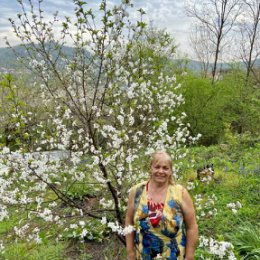 Фотография "Зацвела  вишня, которую я посадила в 2018 году"