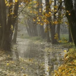 Фотография от Татьяна Охраменко (Белькевич)