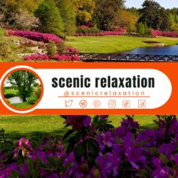 Фотография от Scenic Relaxation new