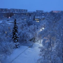 Фотография "Линёво. Зима 2020."