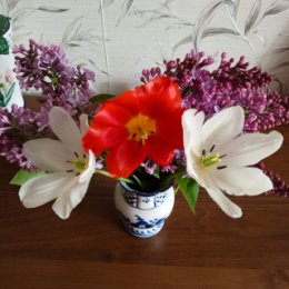 Фотография "Весна, май, сирень, тюльпаны!!! Самое лучшее красивое время года!!!"