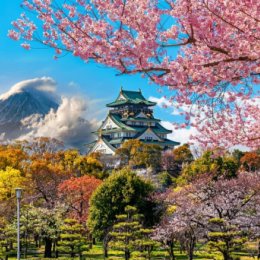 Фотография "Приглашаем в Японию на удивительное цветение сакуры 🌸🌸🌸💞💞💞 #Ханами​ (яп.​ 花見,​ любование цветами) -​ японская национальная традиция 🔮 Созерцание цветения сакуры — это не просто наслаждение тонкой красотой цветков, не только доставление удовольствия своим глазам. Под этим кроется глубокий смысл, вошедший в основу японской философии 📅 Период цветения сакуры в каждом отдельном регионе Японии весьма непродолжителен — от одной недели до десяти дней. Быстрое увядание этой необыкновенной красоты японцы ассоциировали с быстротечностью жизни и недолговечностью красоты, с чистотой и храбростью ⏳Время, проведенное за ханами, позволяло очистить свое сознание от лишних мыслей и предаться вечному. Сегодня эта необходимость ощущается едва ли не острее, чем в древности. Поэтому традиция ханами все еще жива ✈️Бронируйте туры в Японию и ощутите всю прелесть этого уникального явления!

#япония #japan #tokyo #kyoto #osaka #токио #киото #осака #сакура #sakura #bloom #blossom
#sakurablossom  #sakurabloom #nature #travel..."