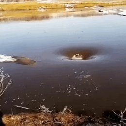 Фотография от Александр Райков