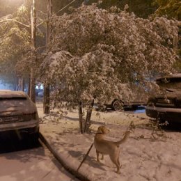 Фотография от Анна Лебедева ВАЛНЕРИЗ