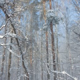 Фотография от Вероника Унгуряну (Занегина)