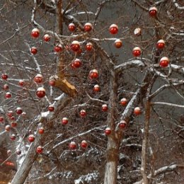 Фотография от Дмитрий Кожухарь