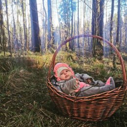 Фотография "Наша маленькая зайка шлёт всем пасхальный привет из леса и поздравляет всех с праздником...
.
Всем мира, добра, здоровья, светлых мыслей и благородных действий...
.
#ivasilisakuznetsova #instababy #baby #forest #spring #лапочкадочка #пасха #христосвоскрес #маминарадость #папинагордость #корзина #дача #дочка #кузнецовыпродолжение #жизньвдекрете #малыш #newlife #babylife #веснаидетвеснедорогу #весна #природакрасота #прогулка #природа #littlerabbit"