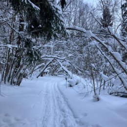 Фотография от Надежда Сахарчук (Осипова)