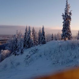 Фотография от Степанюк Елена