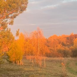 Фотография от Ольга Жернакова (Тихомирова)