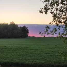 Фотография от Алена Страшевская